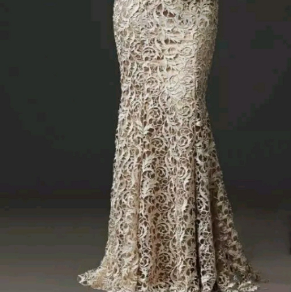 Mother of the bride lace gown - Picture 3 of 5